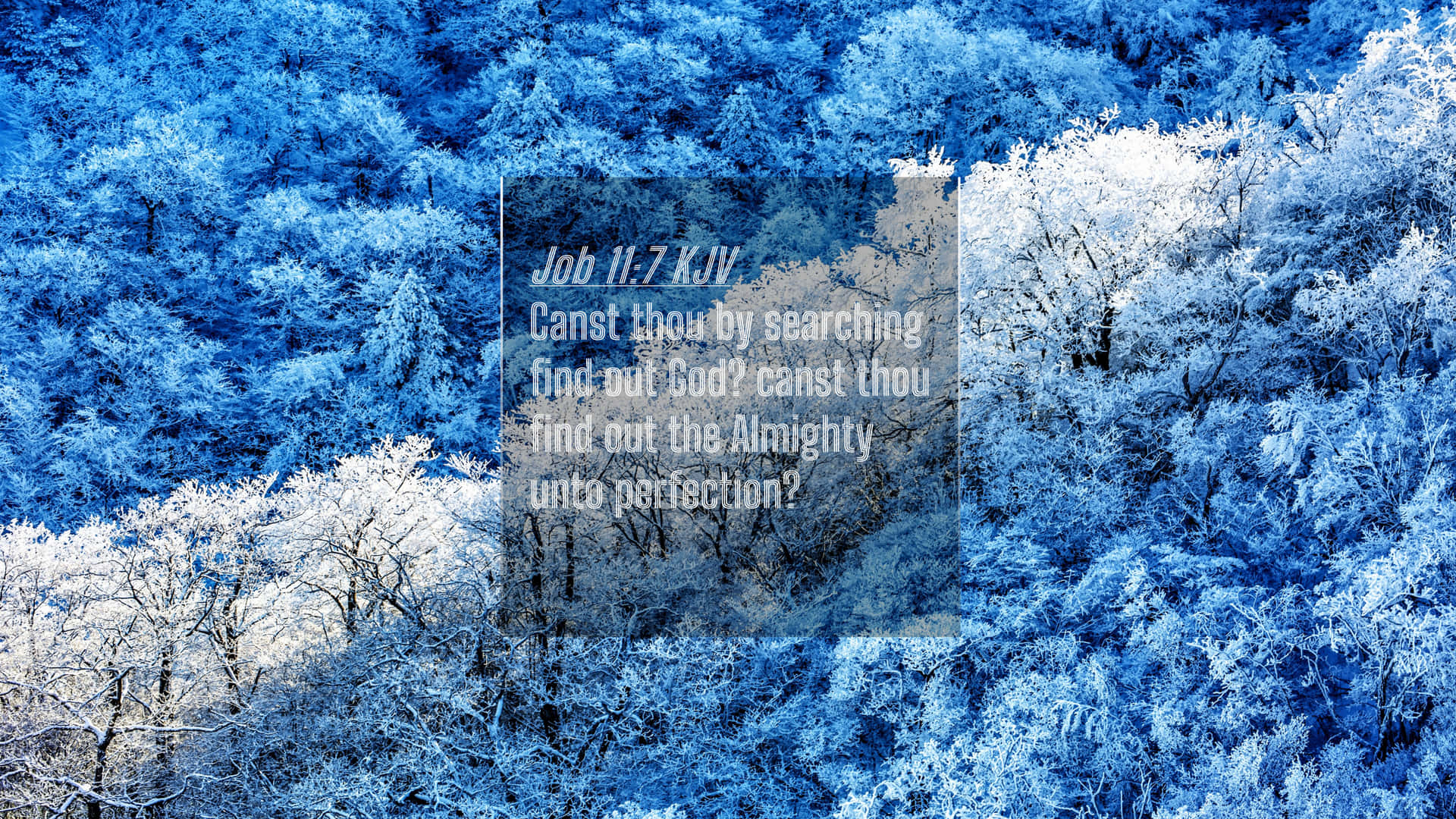 Searching Winter Bible Verse Background
