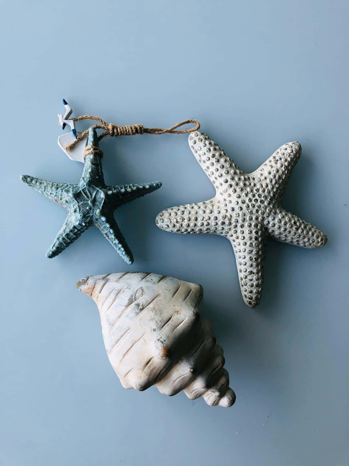 Seashell And Starfishes Light Blue Aesthetic Background