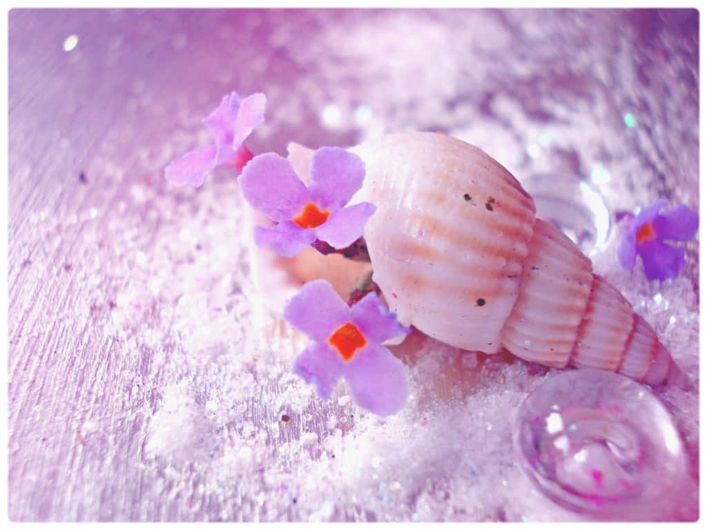 Seashell Light Purple Aesthetic