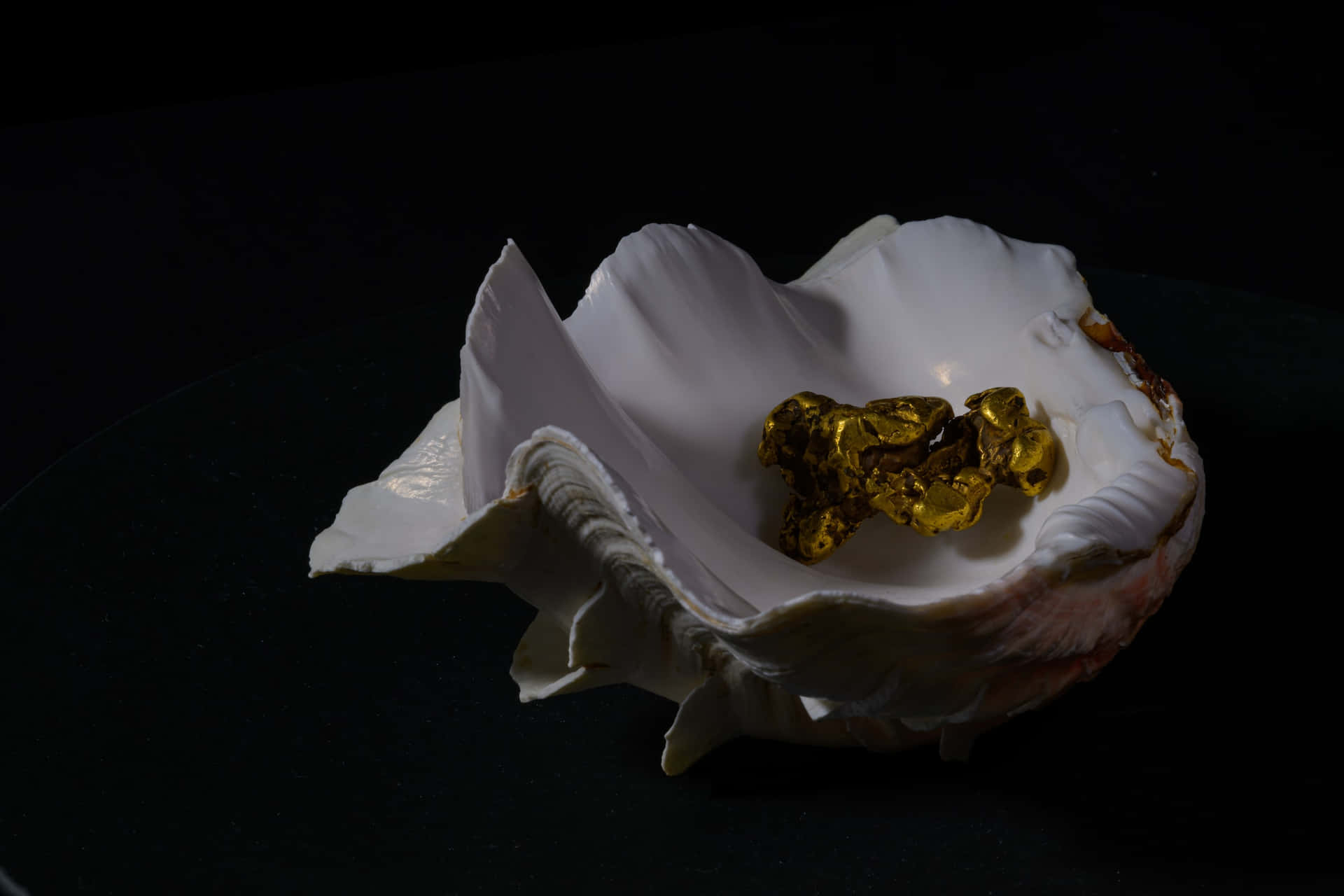 Seashell With Gold Nuggets