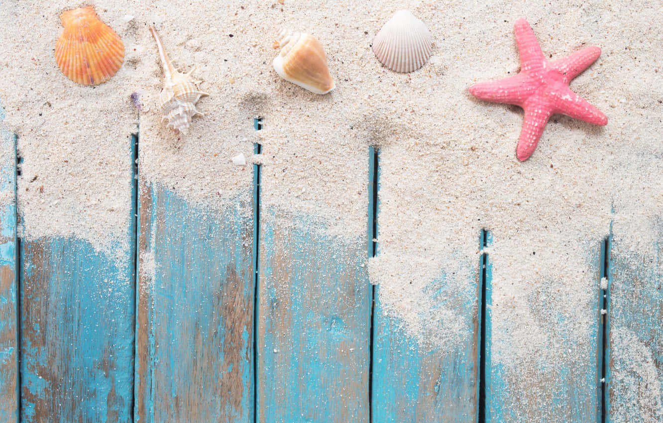 Seashells And Pink Starfish Background