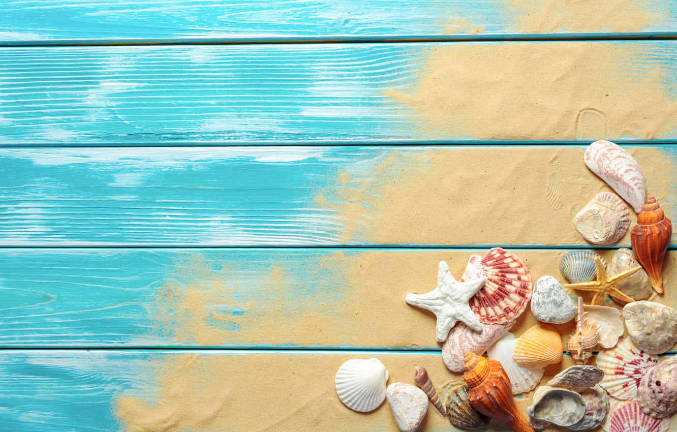 Seashells And Starfishes Background