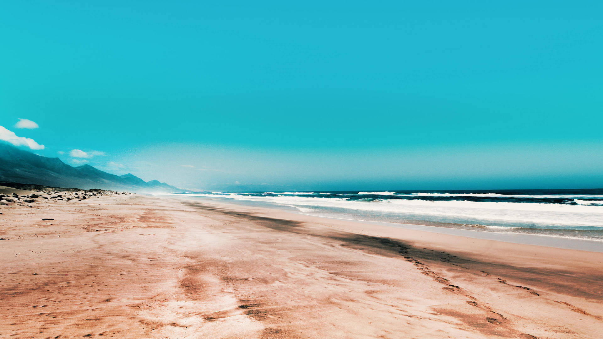 Seashore Under Clear Sky Background