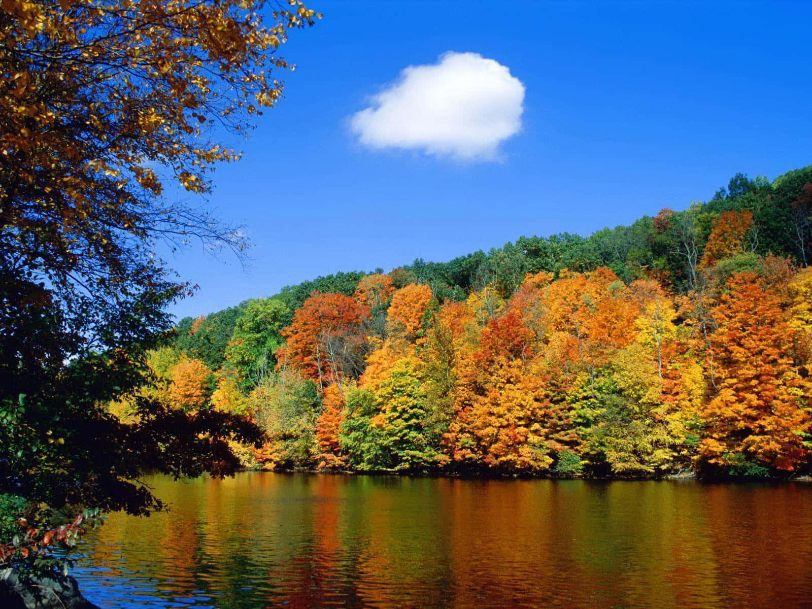 Seasonal Autumn Mountain Lake Trees Background