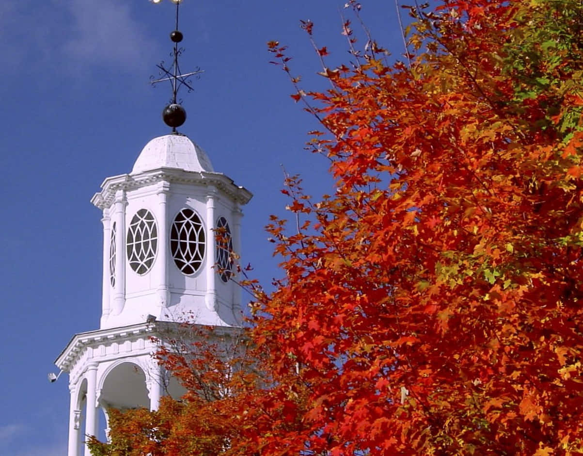 Seasonal Church Tree Autumn Background