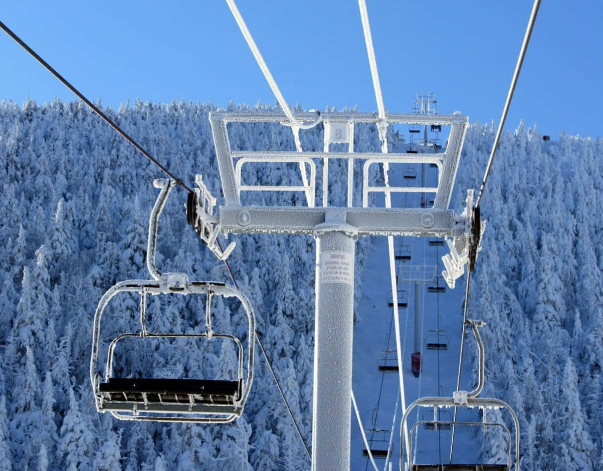 Seasonal Winter Enjoy Ski Resort Background