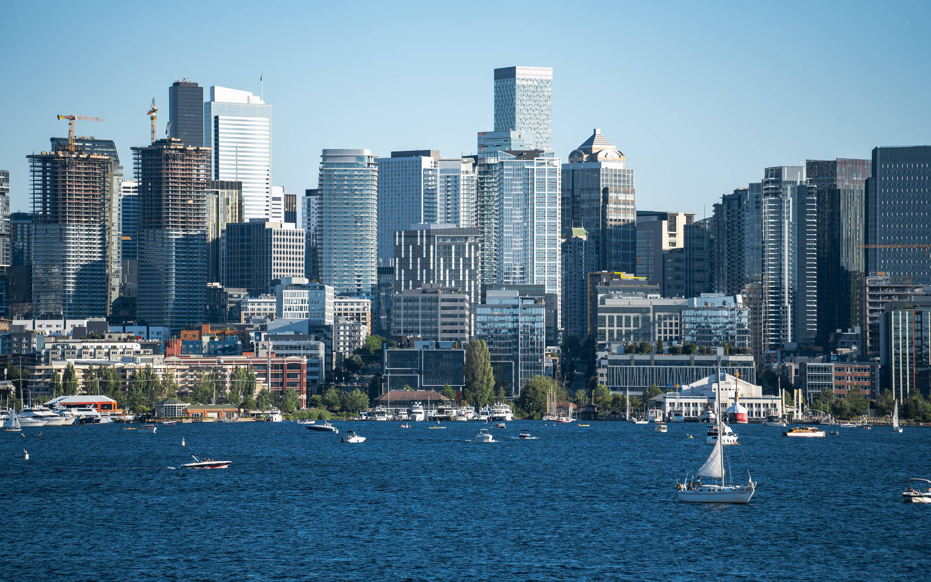 Seattle 4k Cityscape Background