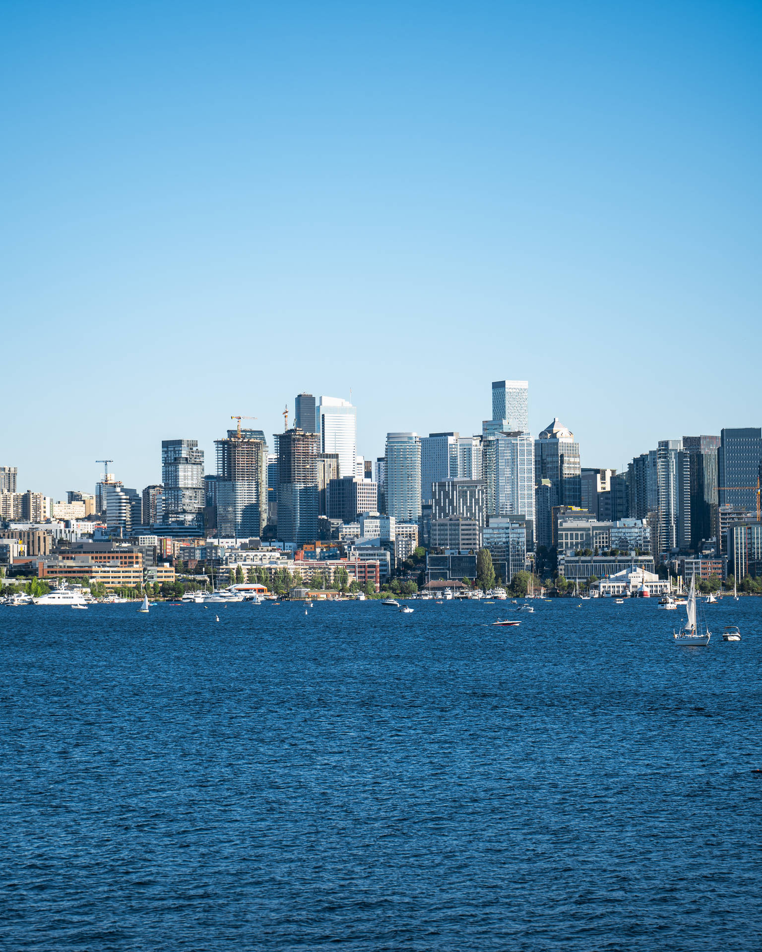 Seattle 4k Riverside Background