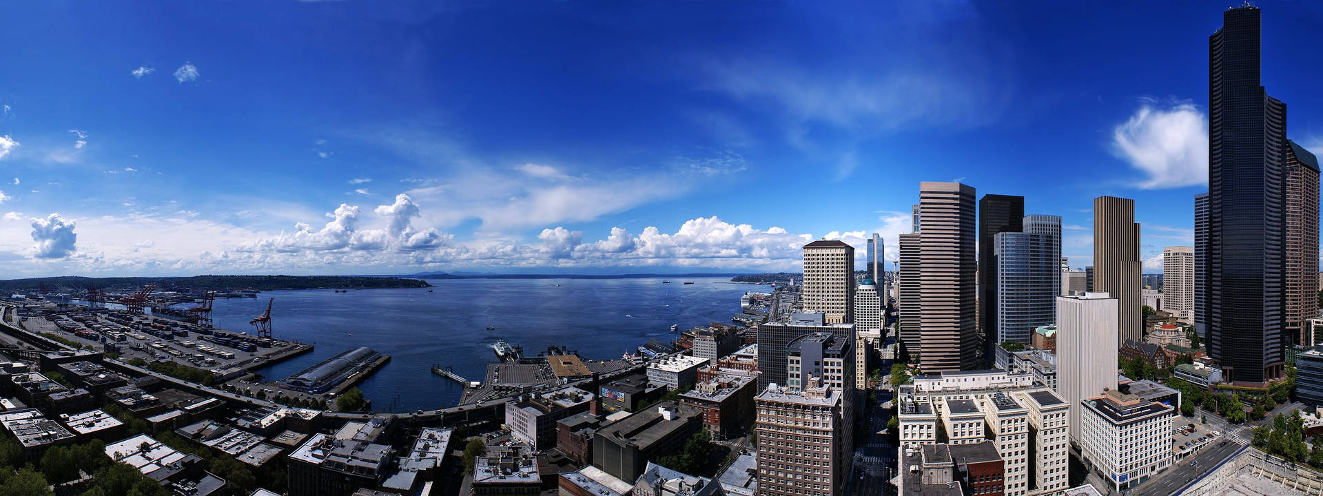 Seattle Cityscape From Building For Monitor