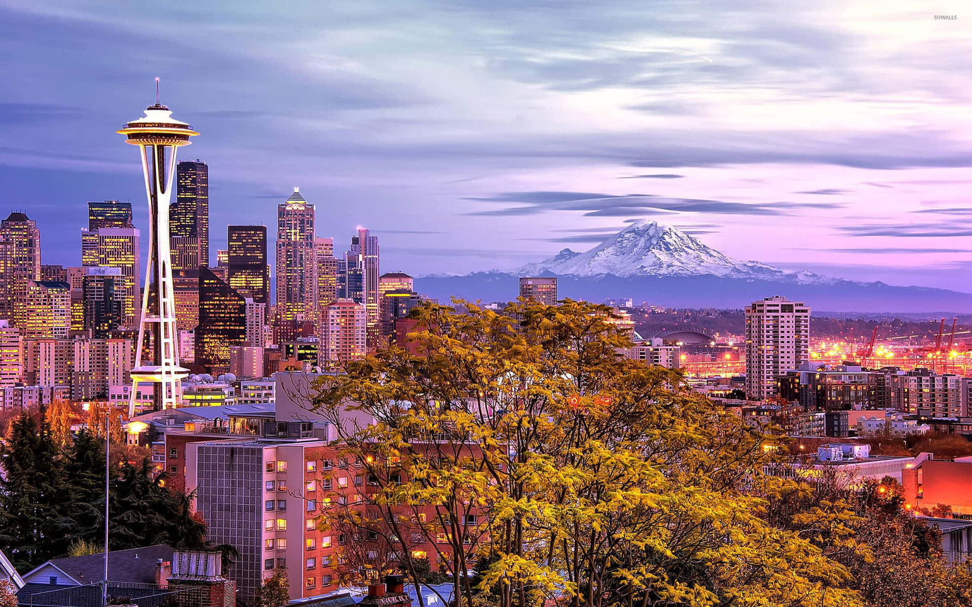 Seattle Hd Tree Cityscape