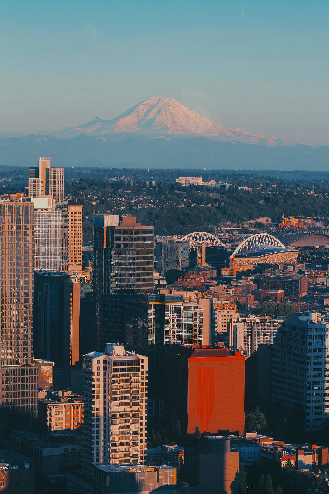 Seattle Iphone Mount Rainier