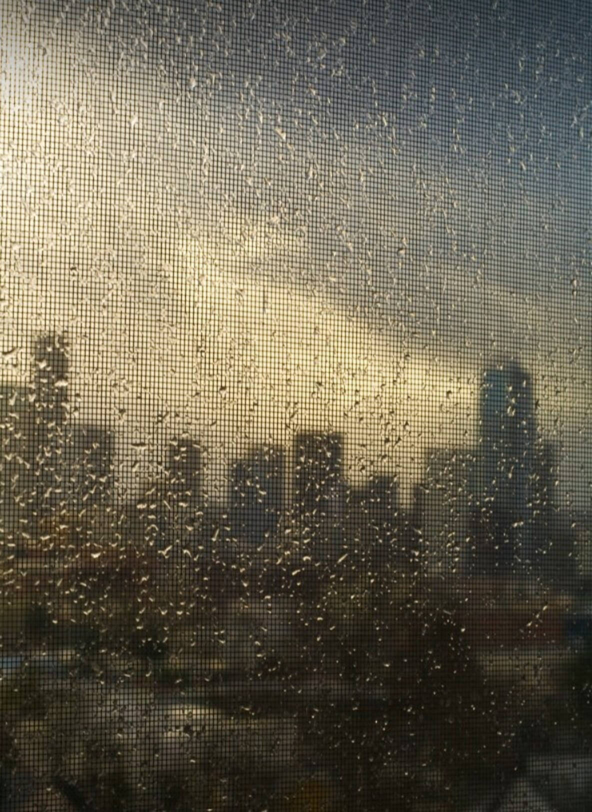 Seattle Rain On Textured Glass Background