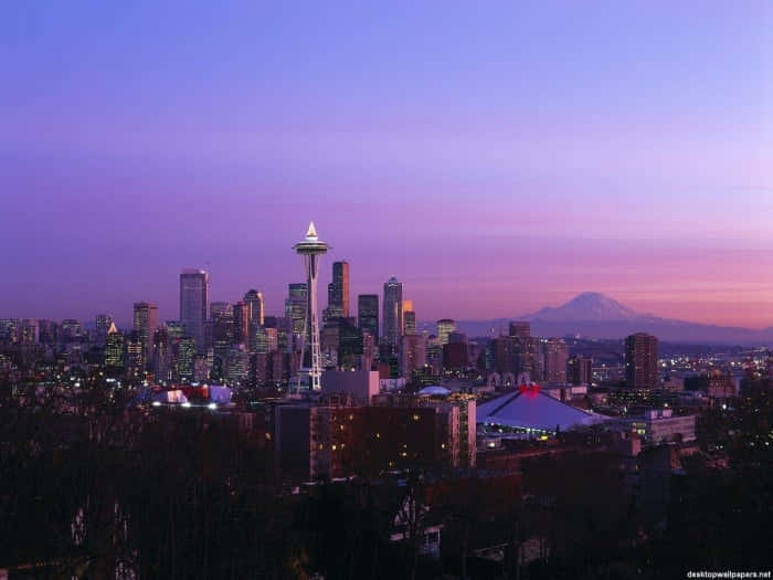 Seattle Skyline At Dusk By Jim Mcdonald Background