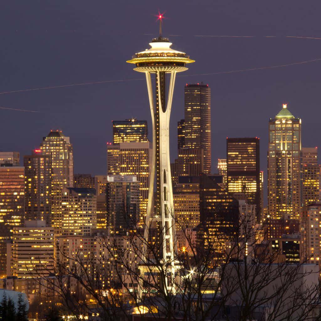 Seattle Washington Night View Background