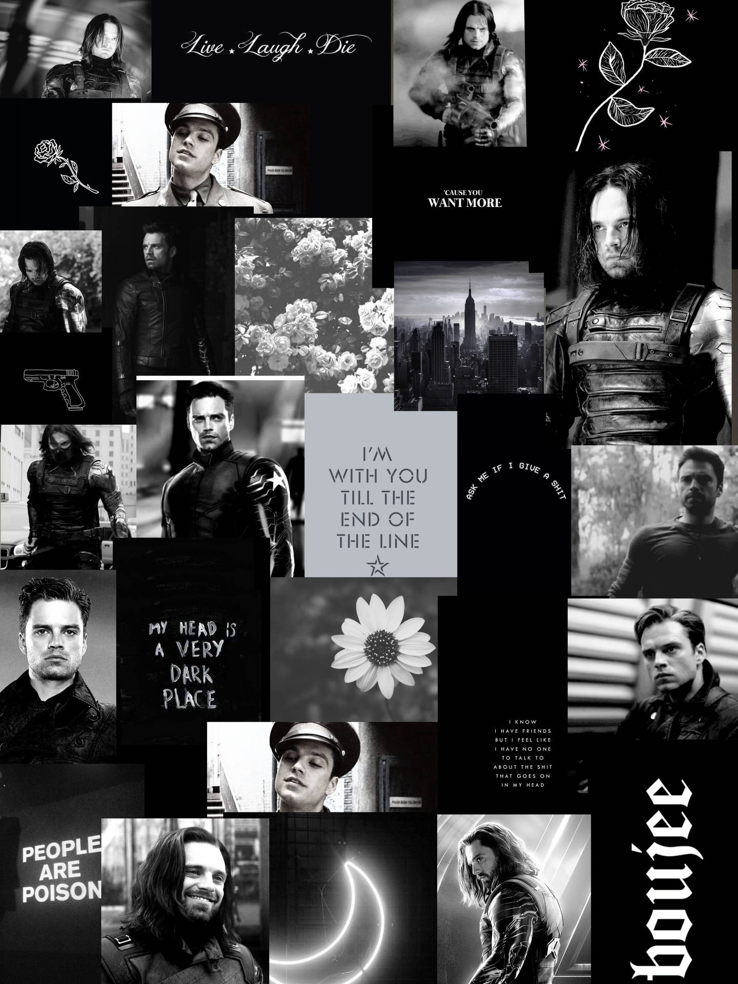 Sebastian Stan Black Collage Background