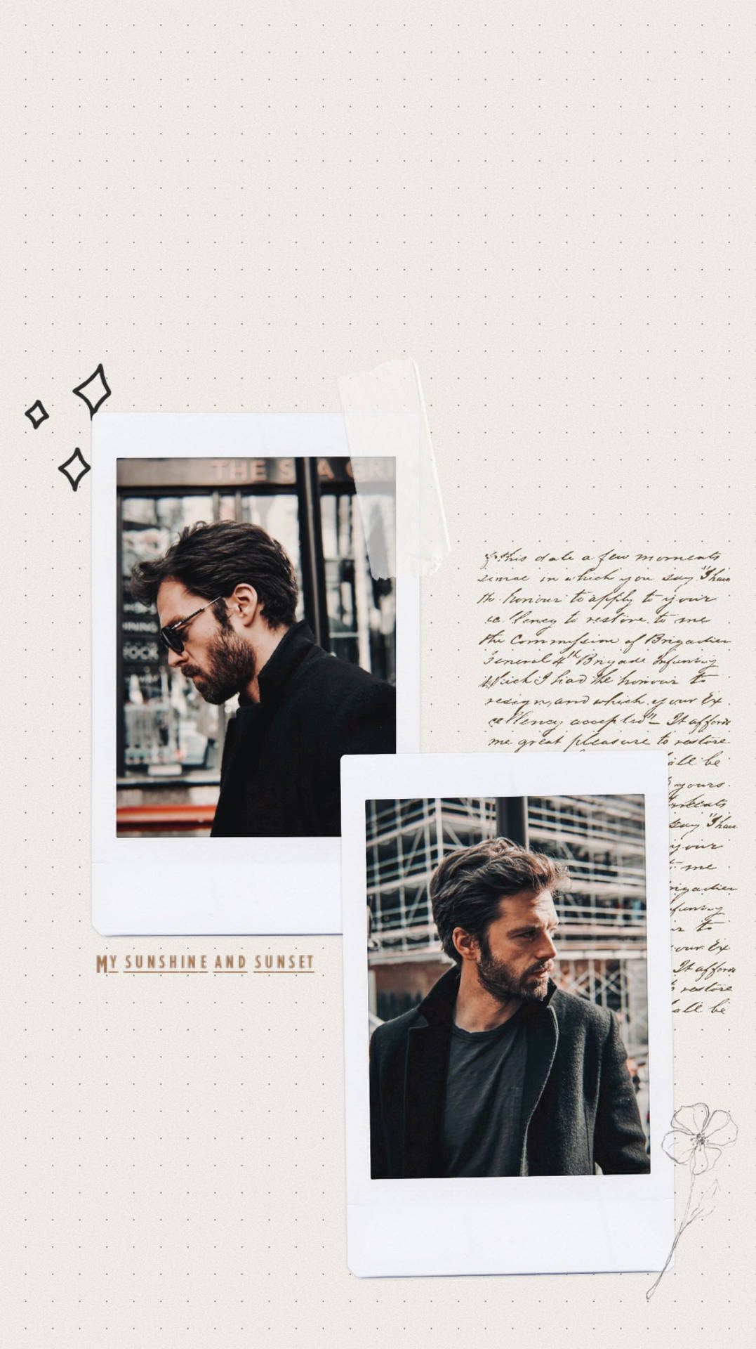 Sebastian Stan Polaroid Background