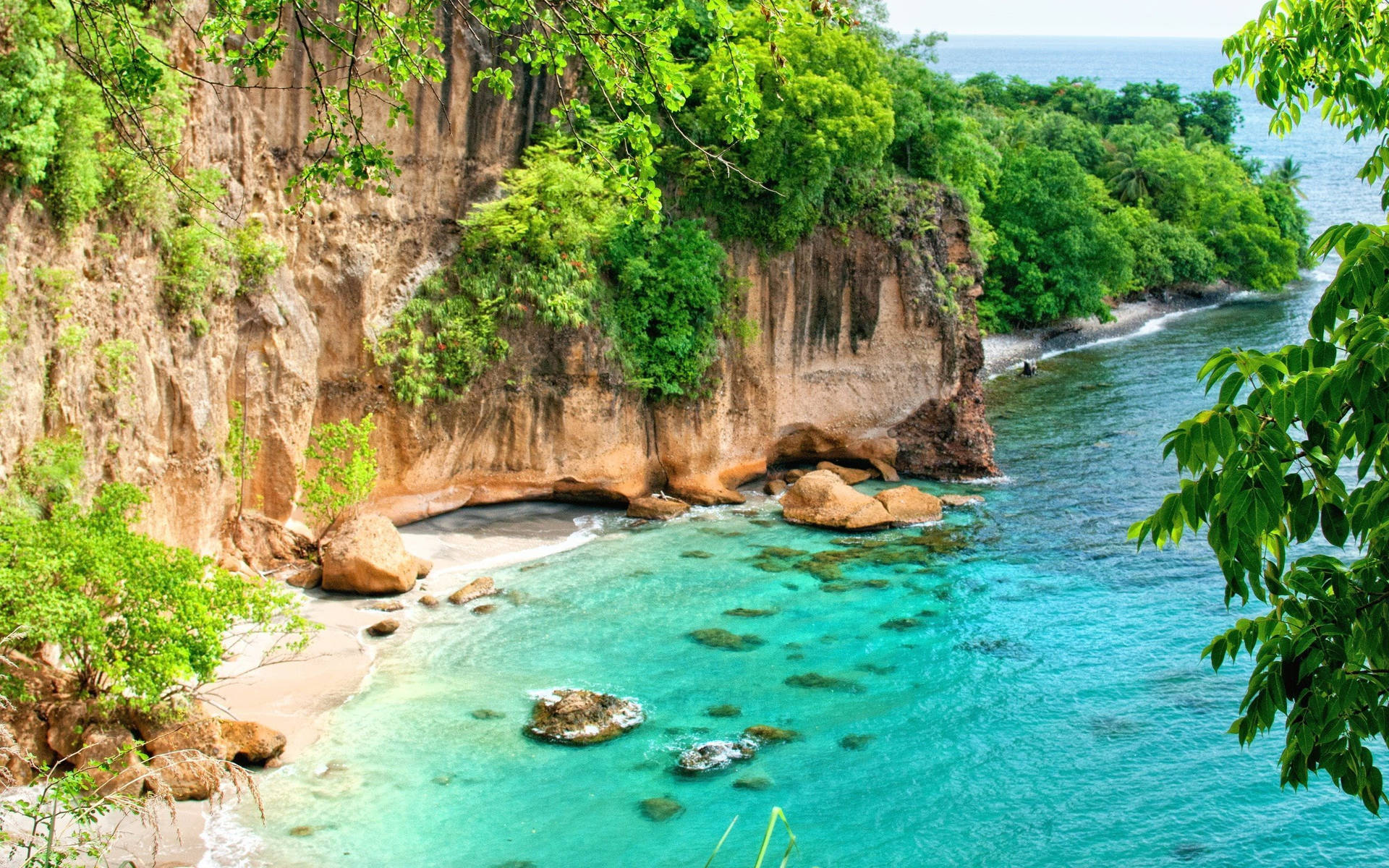 Secret Bay, Dominica – Tropical Haven Background