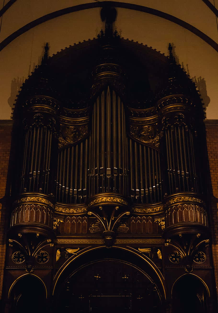 Secular Neo-gothic Organ Background
