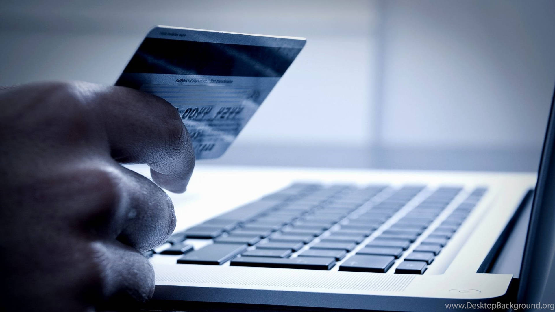 Secure Credit Card Purchase Online