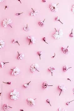 See The Cutest Phone Design Ever! Background