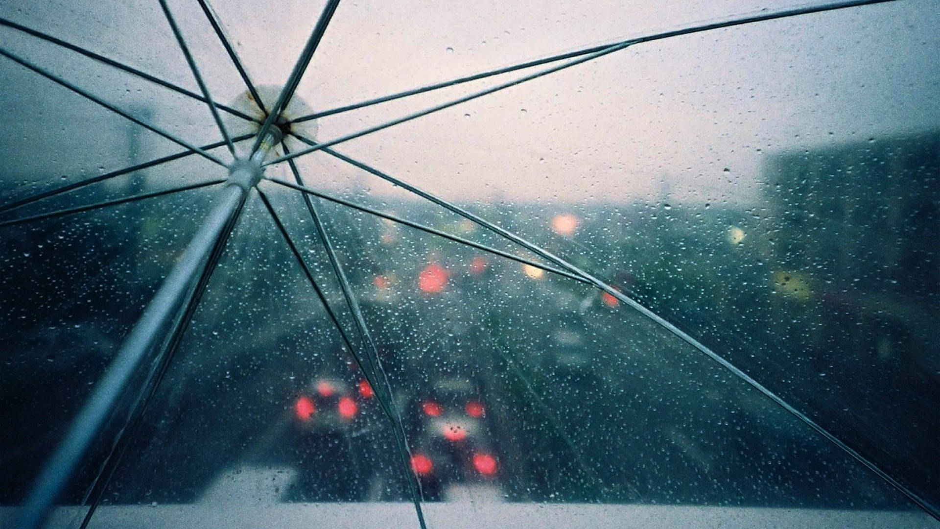 See-through Umbrella While It's Raining Background