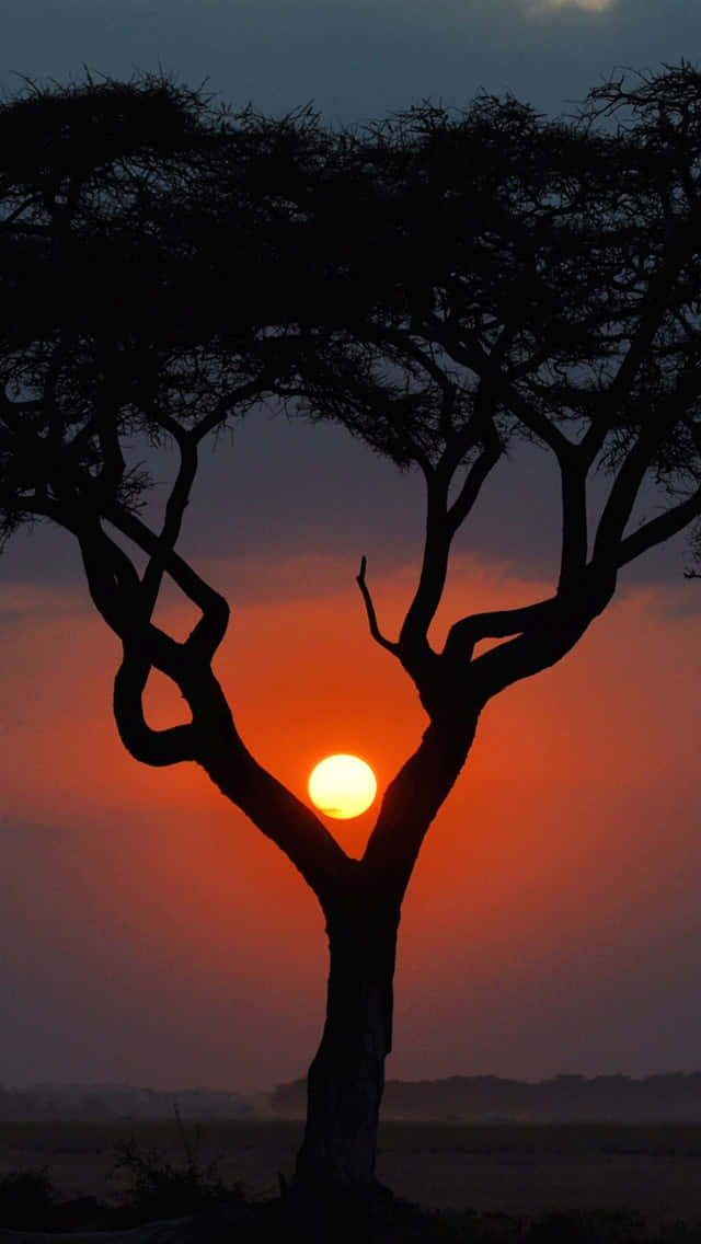 “seeing The World In Black & White” Background