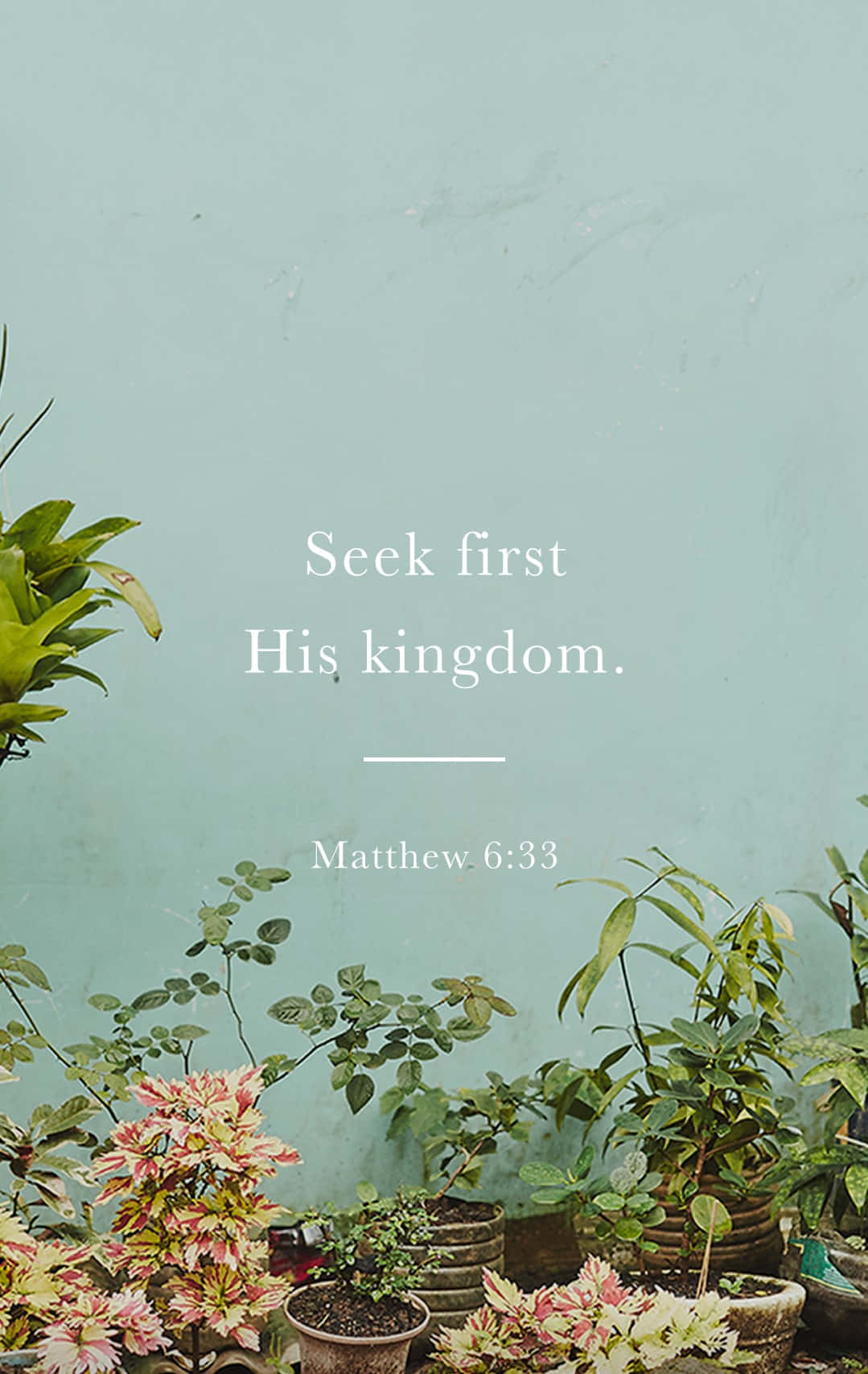 Seek First His Kingdom Background