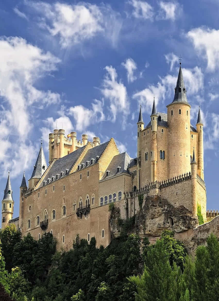 Segovia Castle Green Plants Background