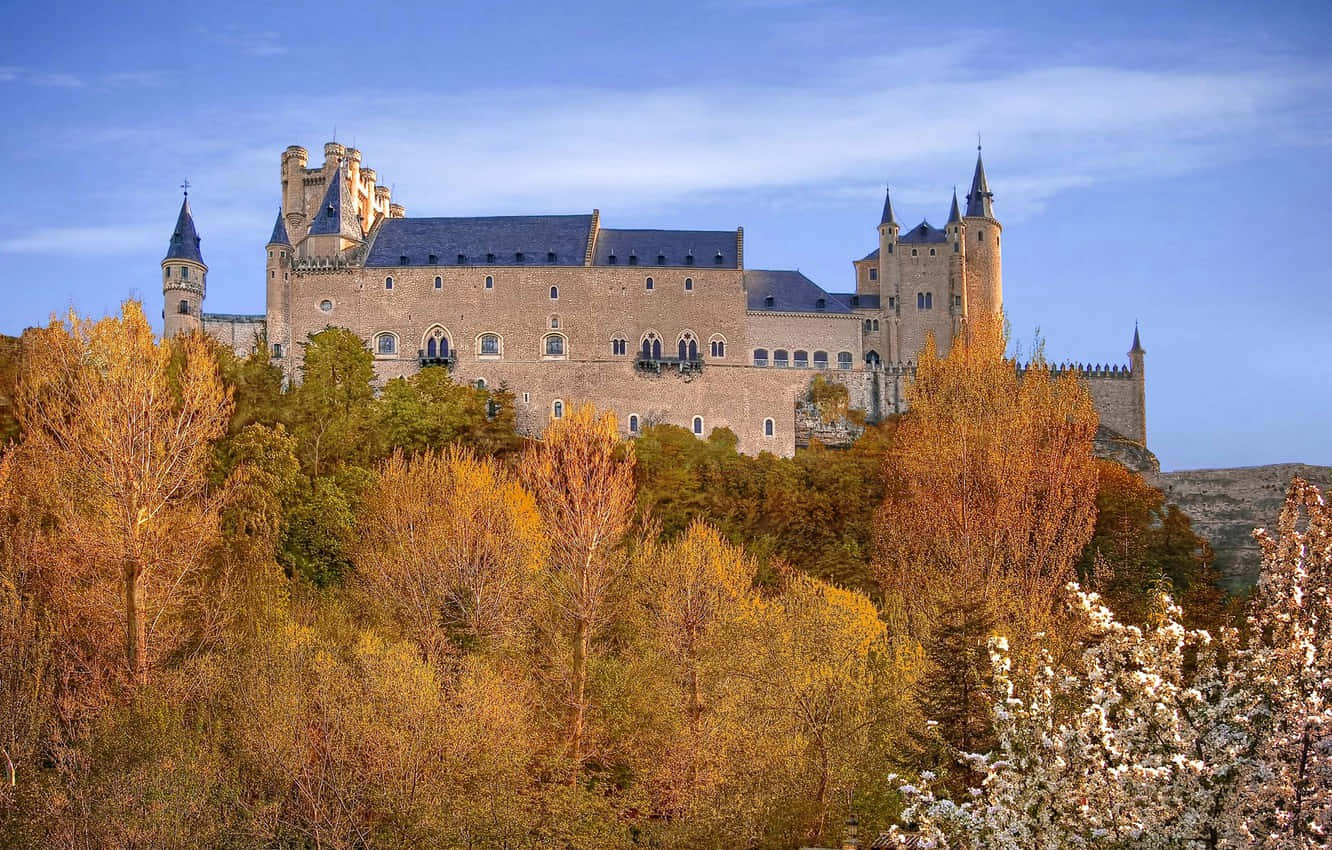 Segovia Castle With Fall Trees Background