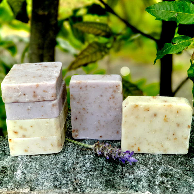 Seigneur Sucre Handmade Soap Background