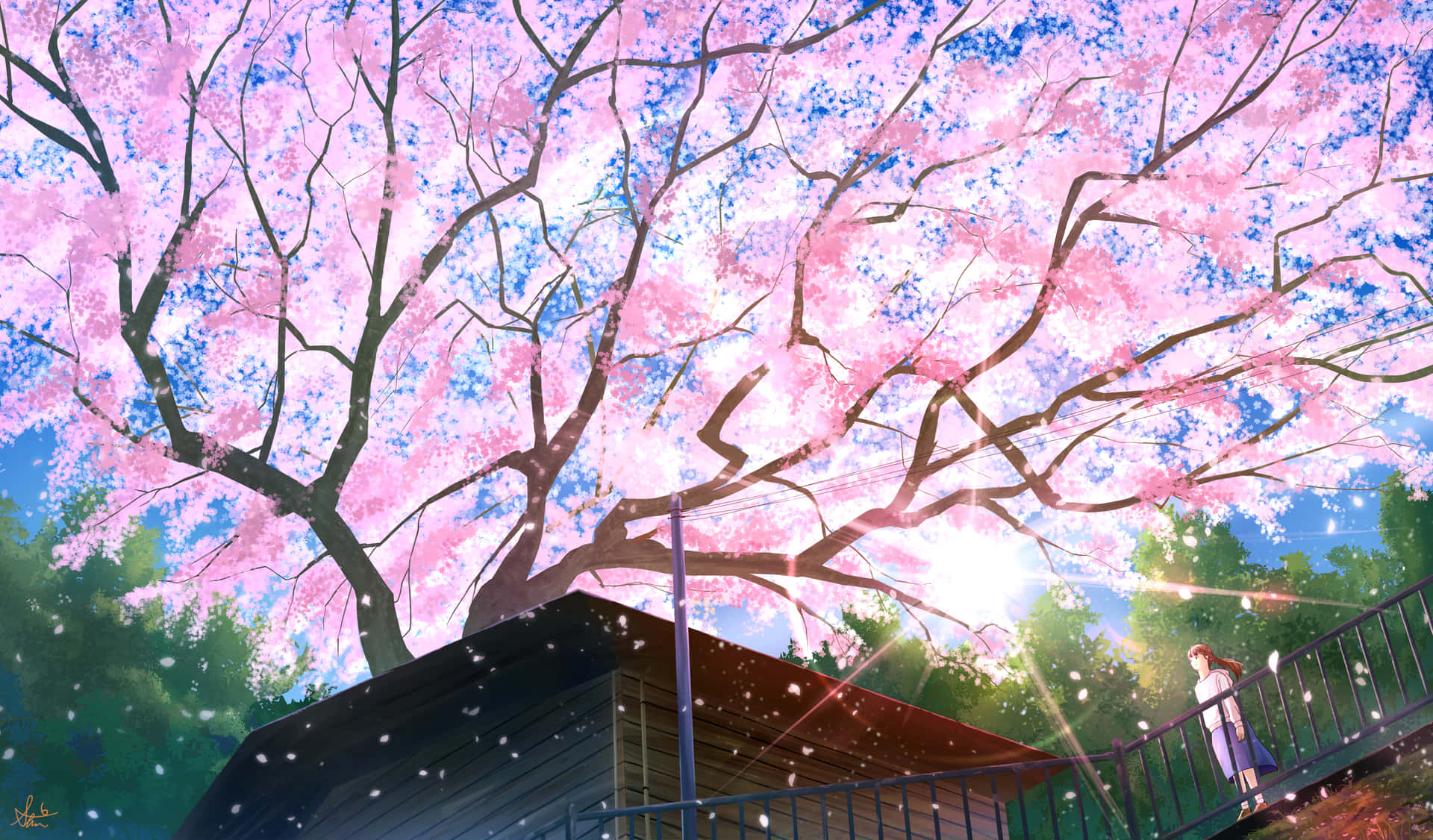 Seize The Moment With Sakura Pc Background