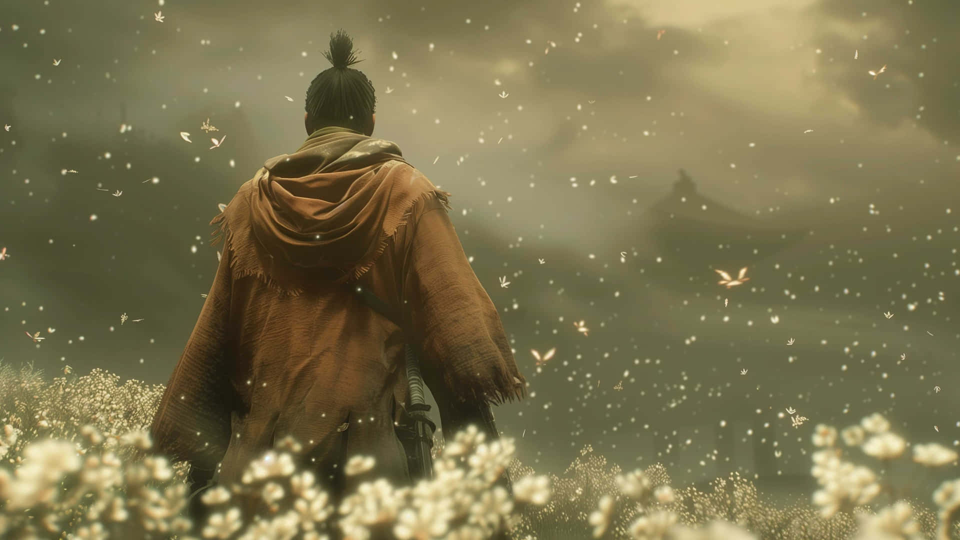 Sekiro Warrior Gazing Over Field4 K Background