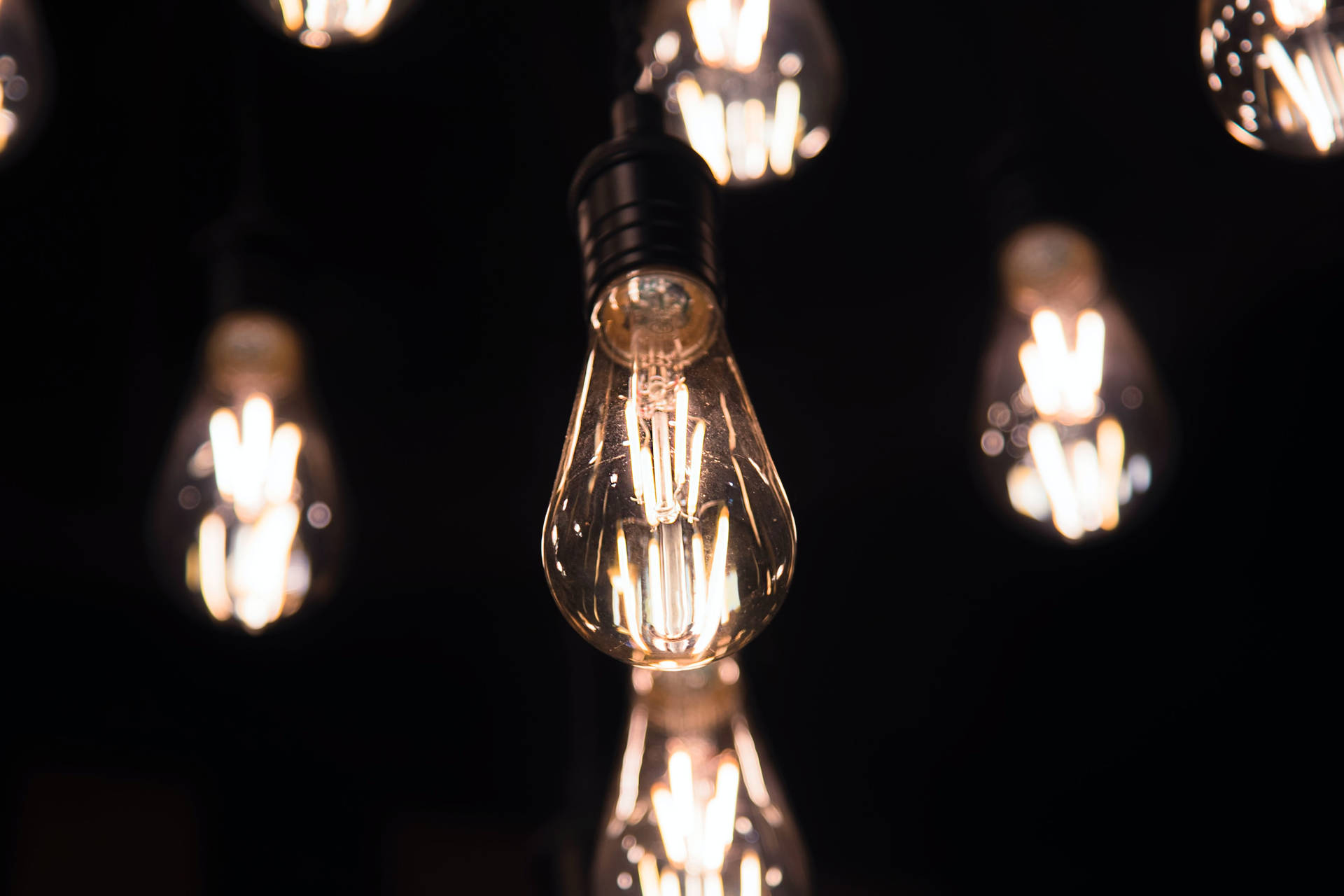 Selective Focus Luminous Light Bulb