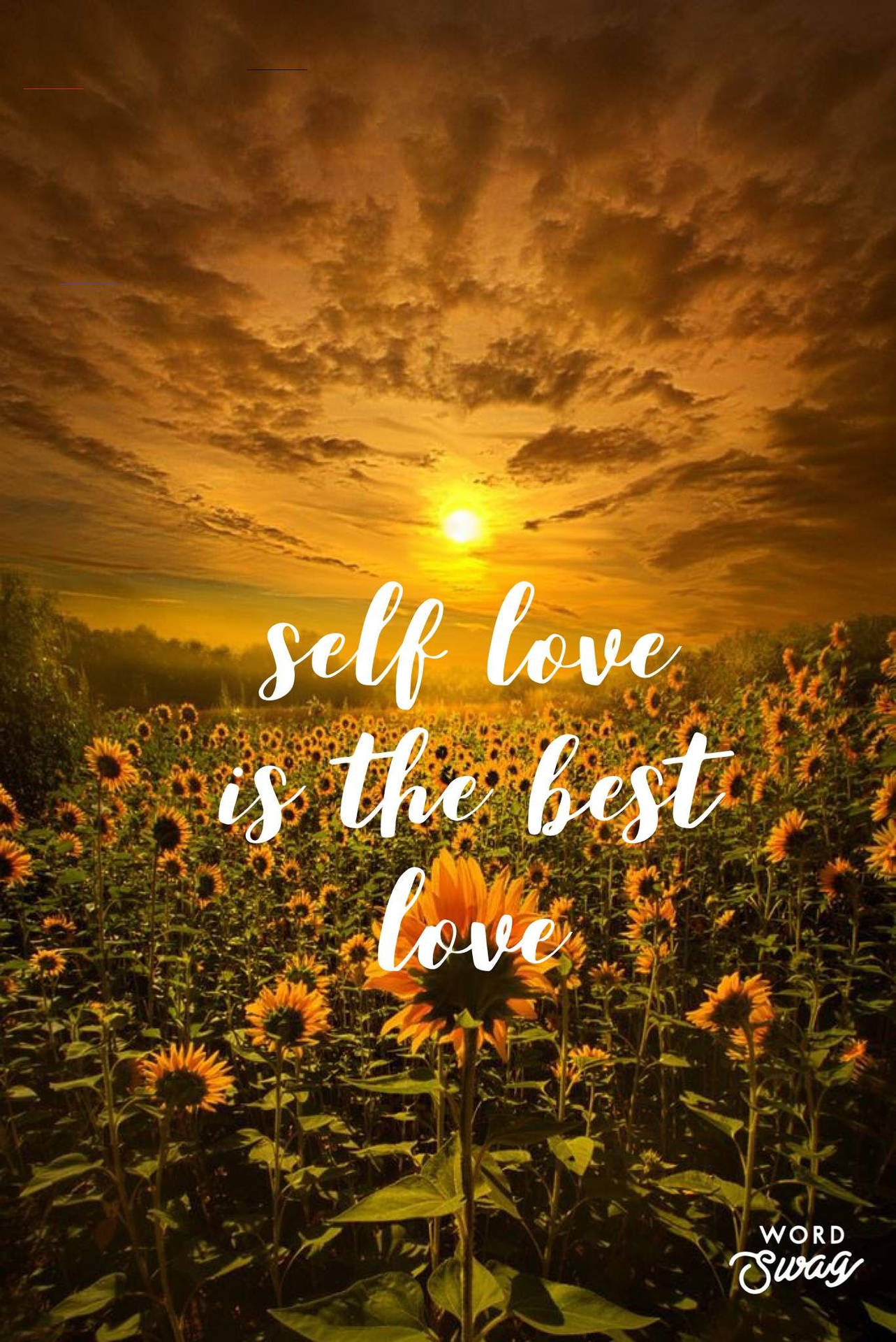 Self Love Quotes Background