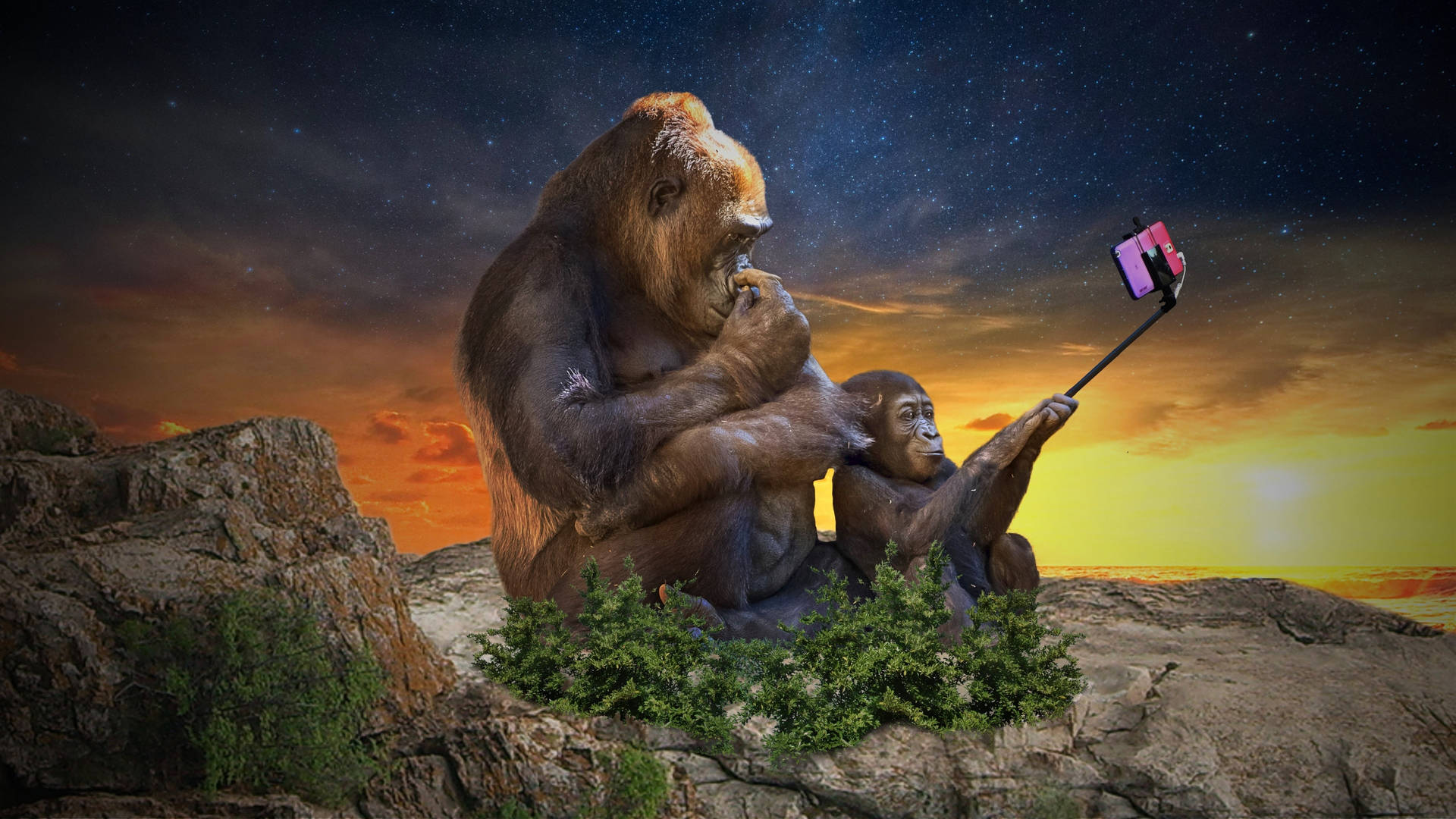 Selfie Gorilla Humor Background