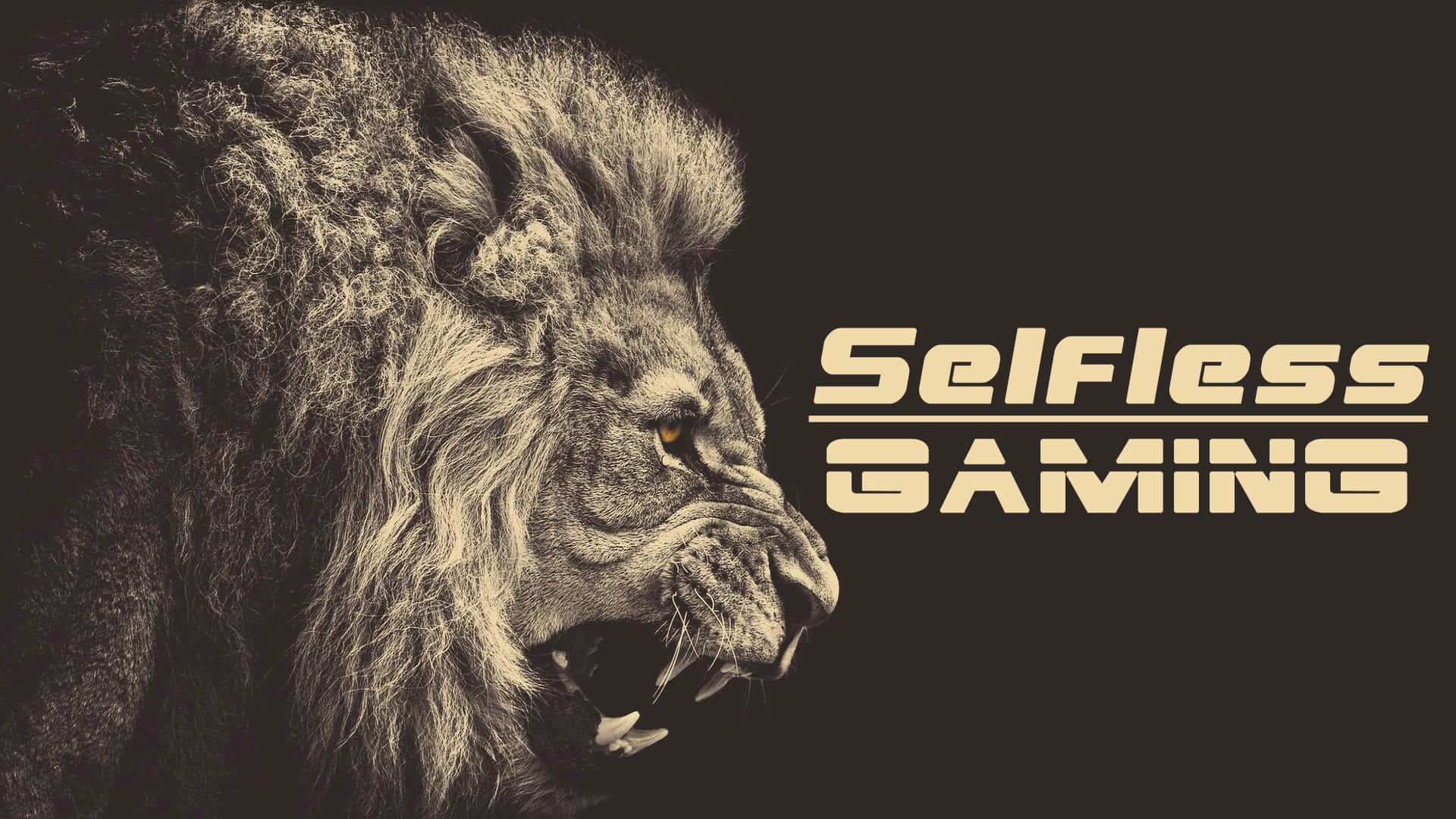 Selfless Gaming Background