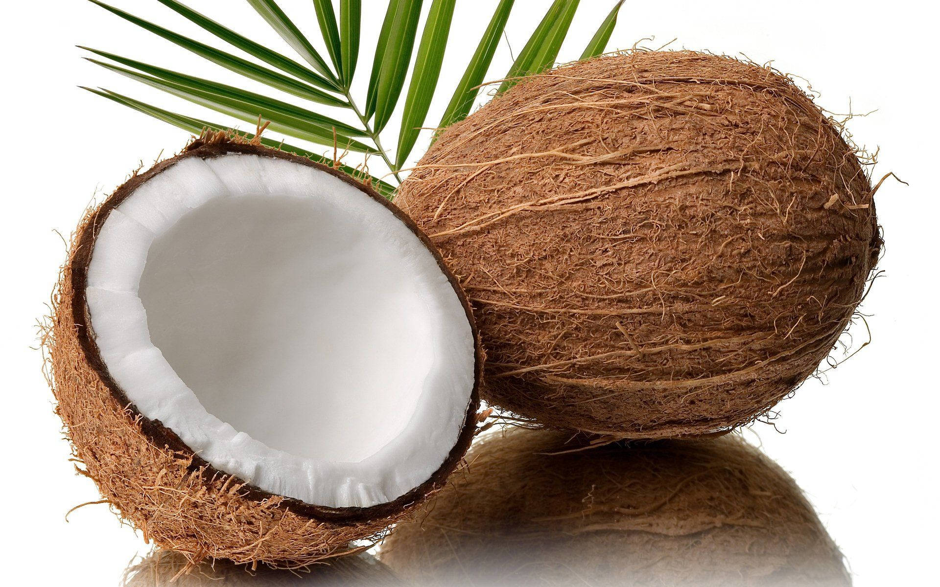 Semi-husked Coconut Fruit Background