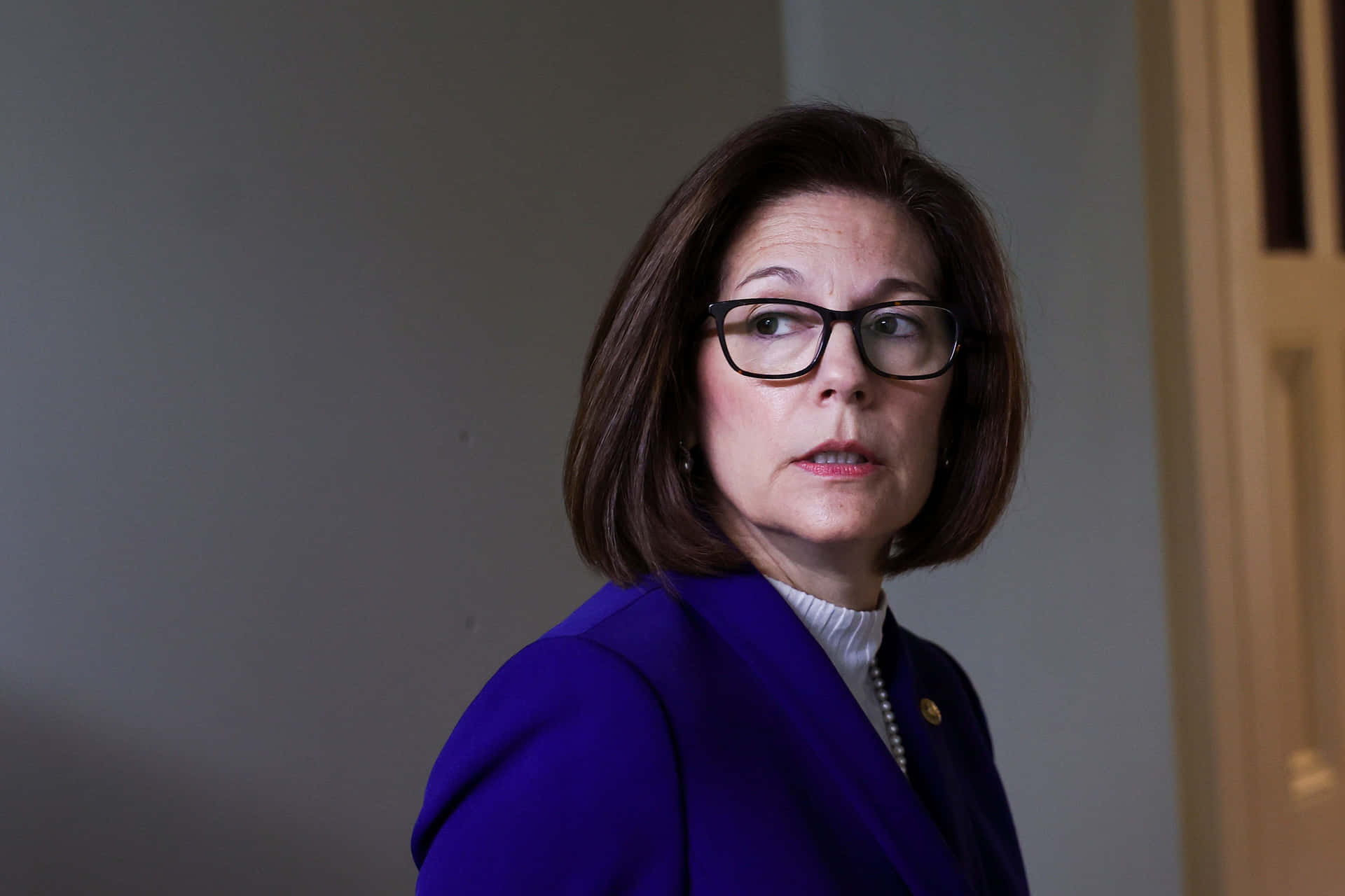 Senator Catherine Cortez Masto During A Conference Background