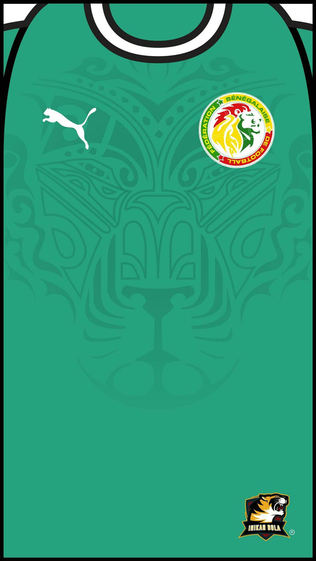 Senegal Seal Jersey Art Background
