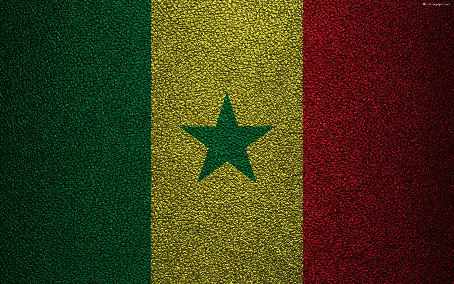 Senegal Textured Flag Background