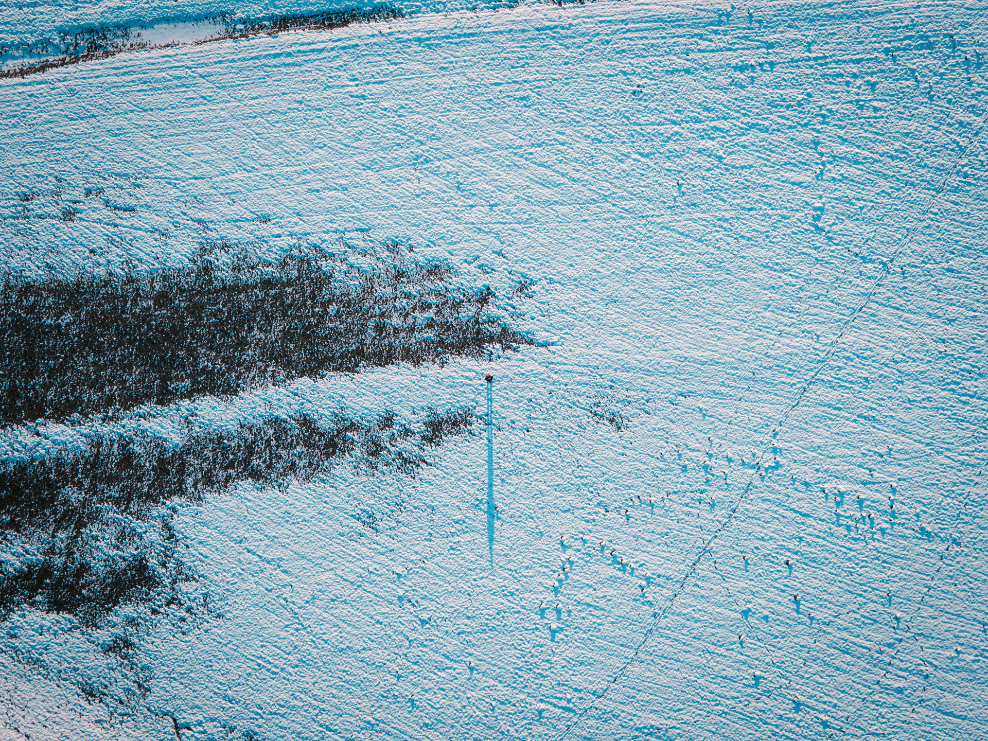 Senicica Slovenia Snowy Field Background