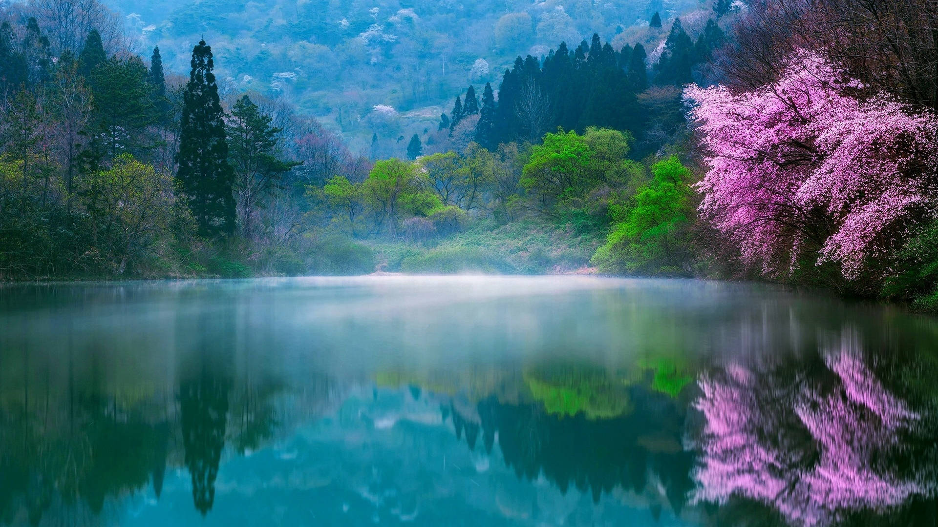 Seoraksan National Park South Korea Beautiful Spring Background