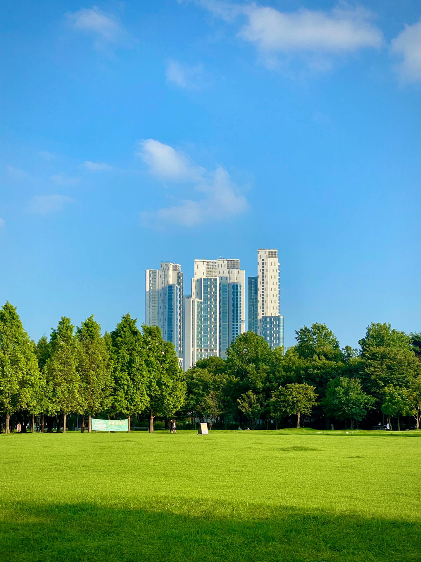Seoul Green Park Background