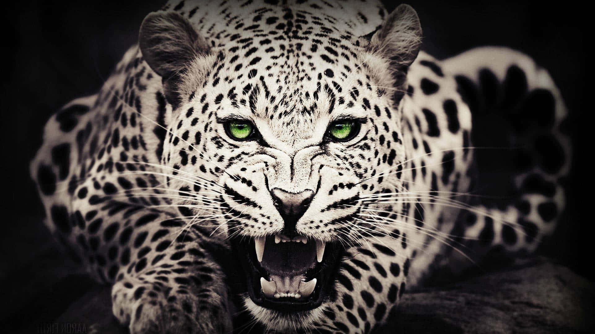 Sepia Aesthetic Leopard With Green Eyes Background