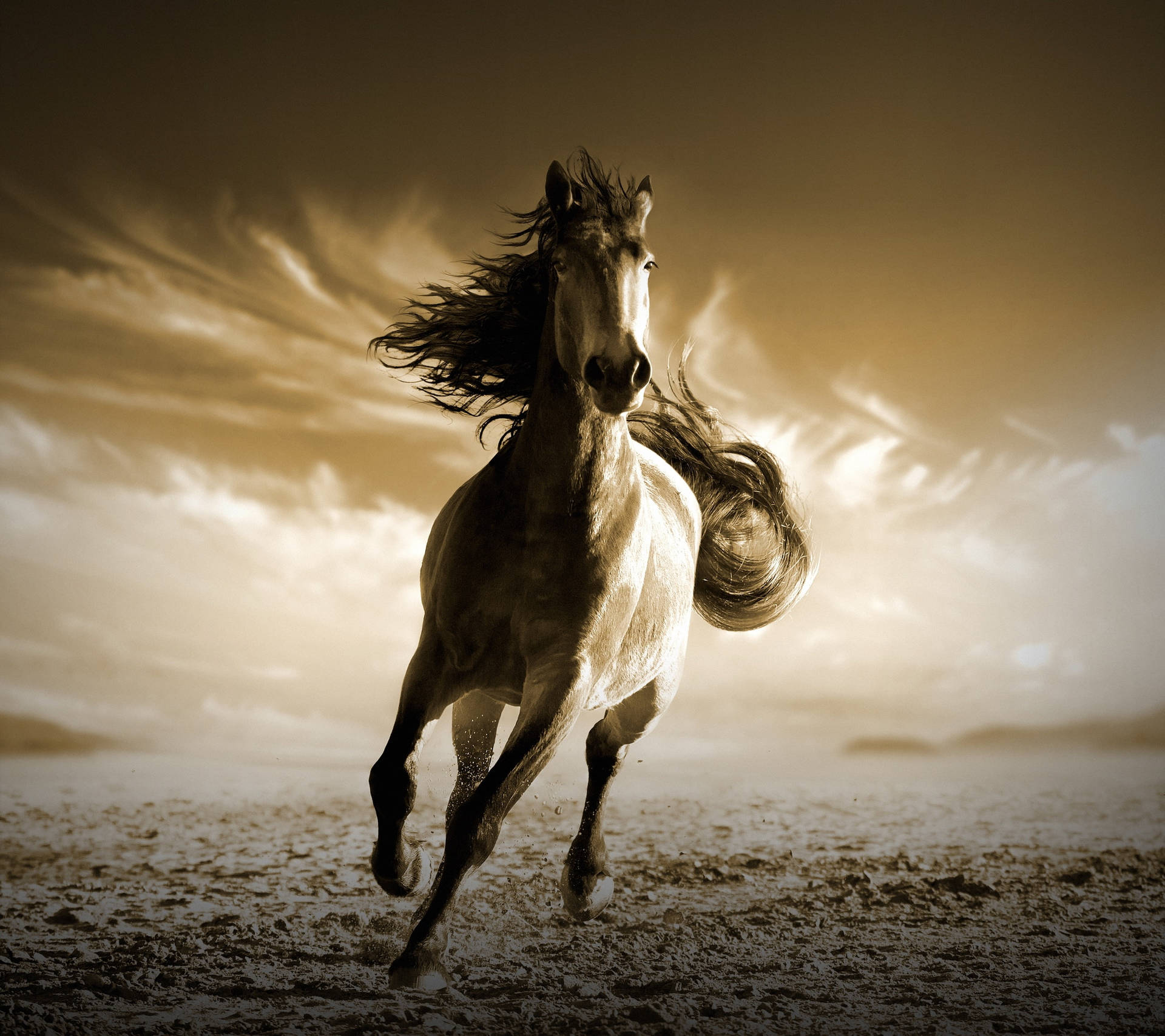 Sepia-toned Running Horse Background