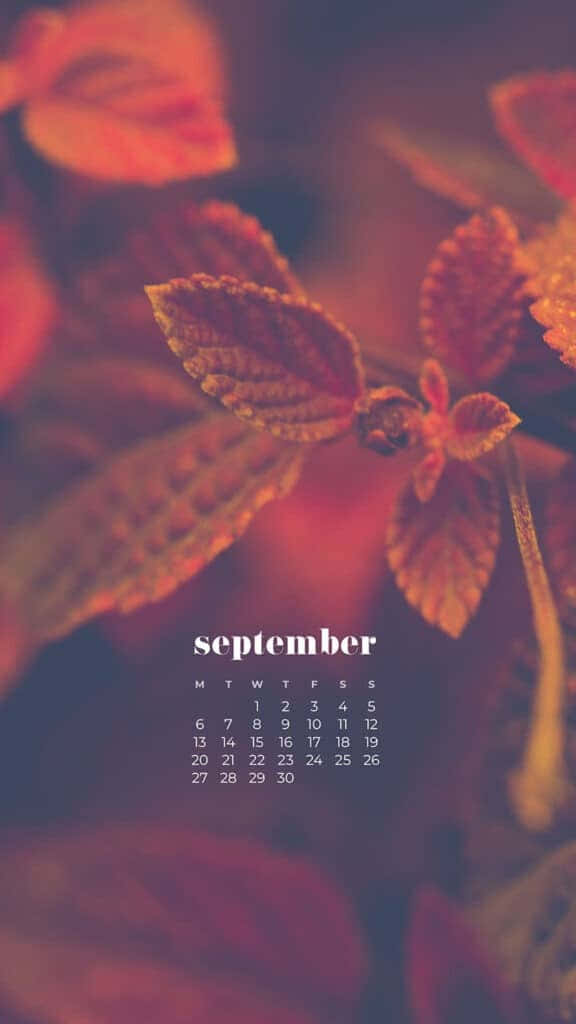 September Autumn Leaves Calendar Wallpaper Background