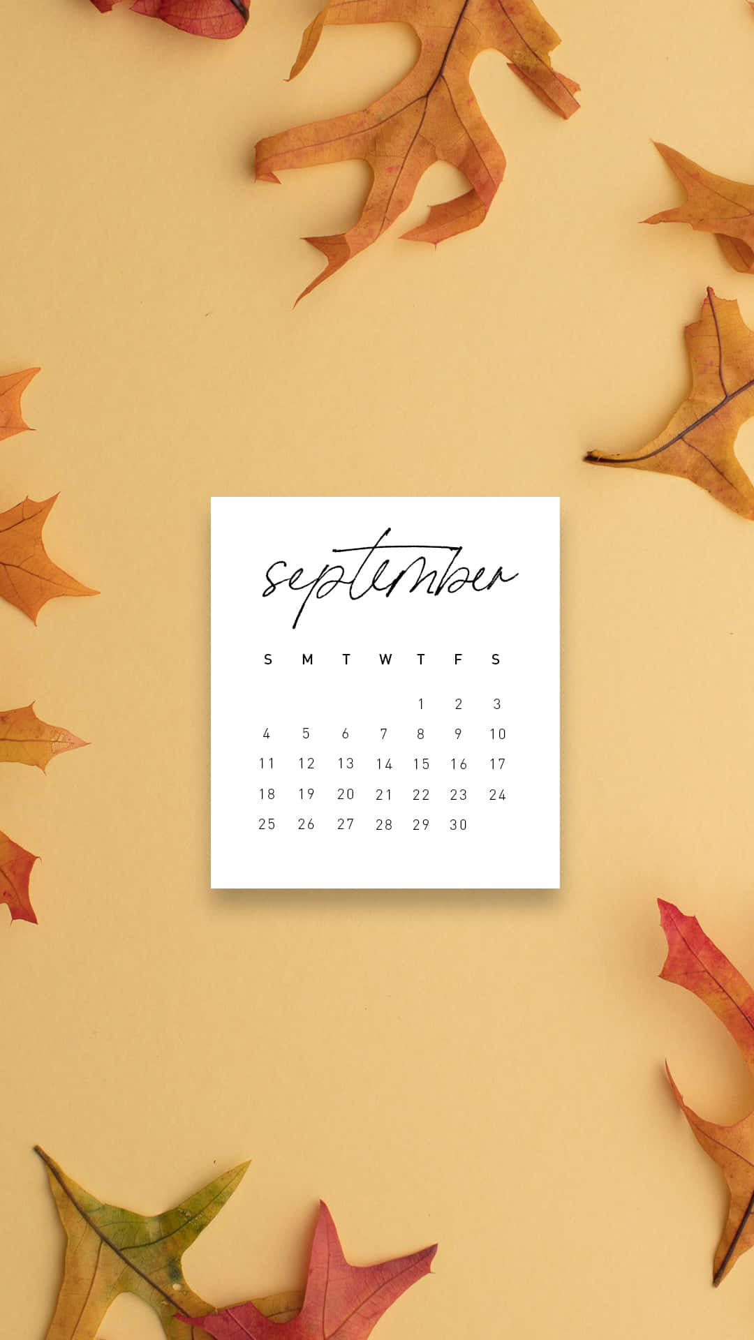 September Calendar Autumn Leaves Background Background