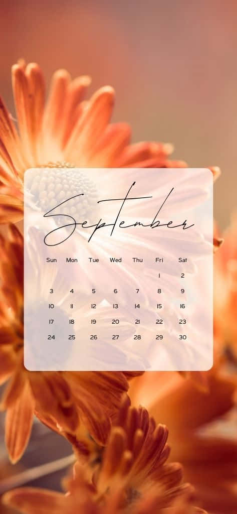 September Calendar Floral Background