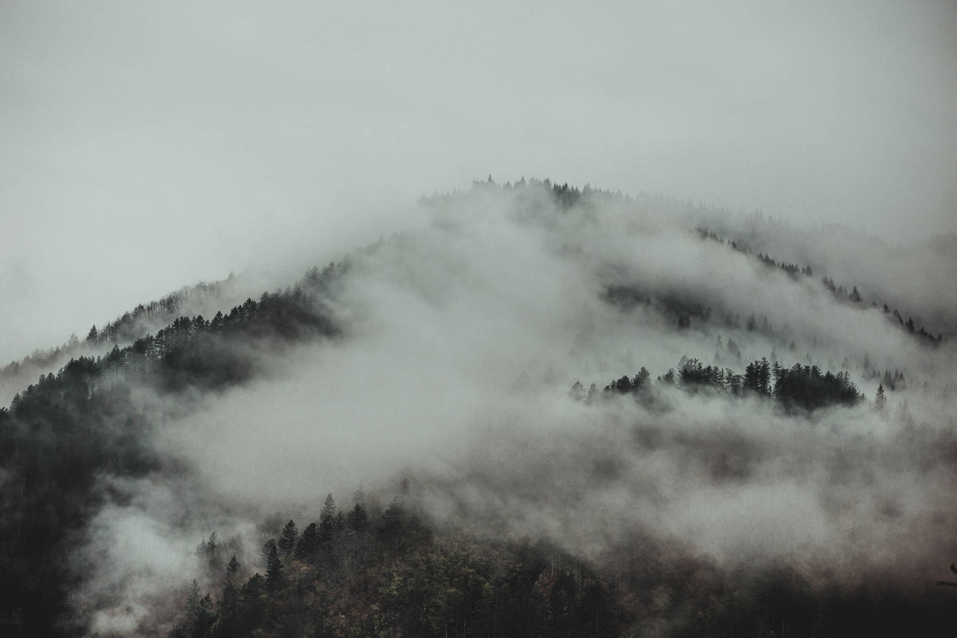 Serbia Foggy Tara Mountain Background