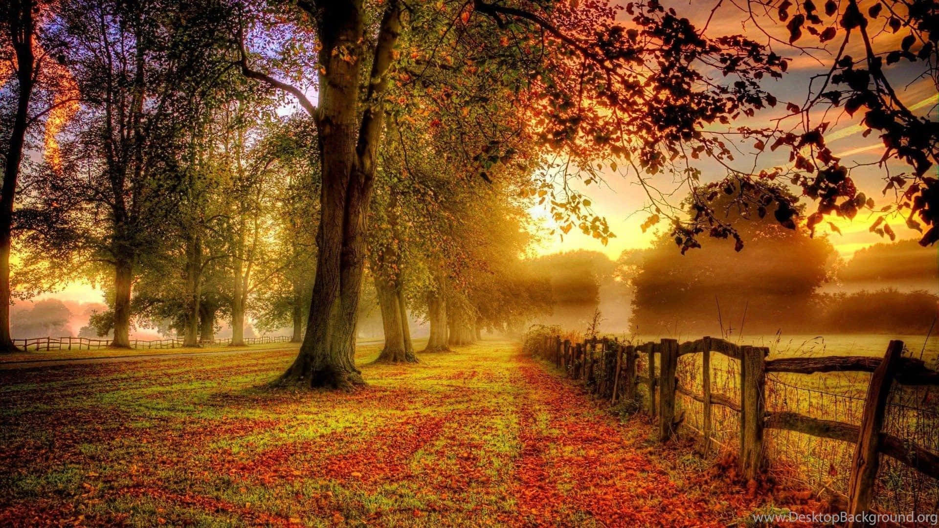 Serene Afternoon At Baltana Background